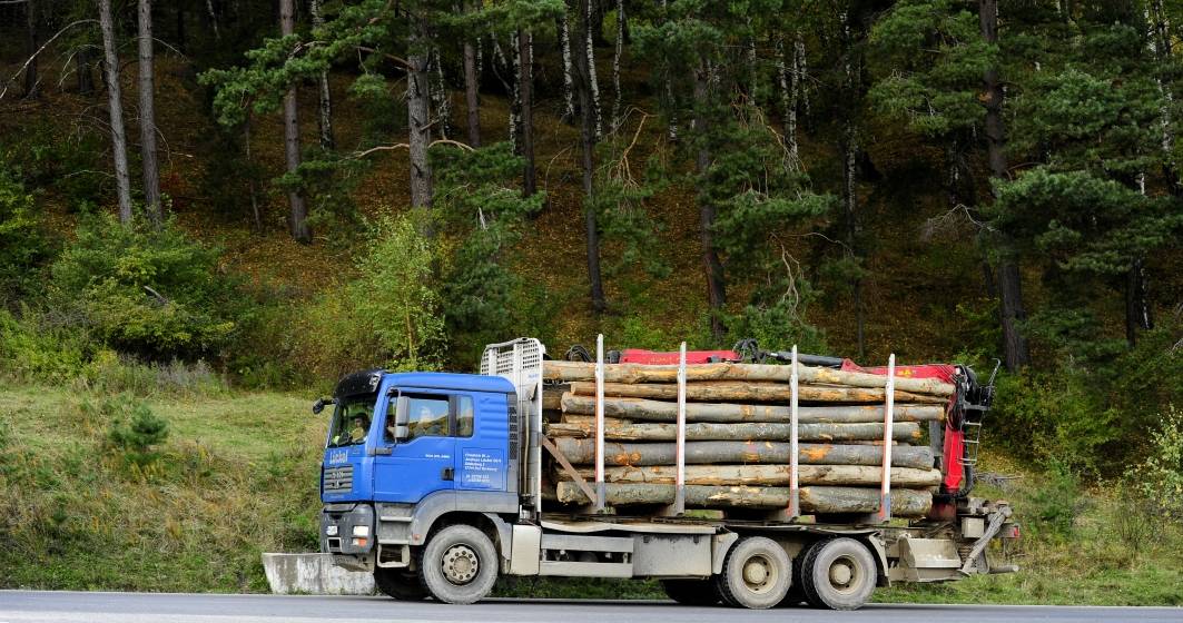 Imagine pentru articolul: IGPR: 700 de controale şi peste 100 de dosare penale pentru tăierea ilegală de arbori