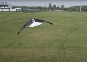 Imagine: China a dezvoltat un tip de aeronavă care imită zborul păsărilor