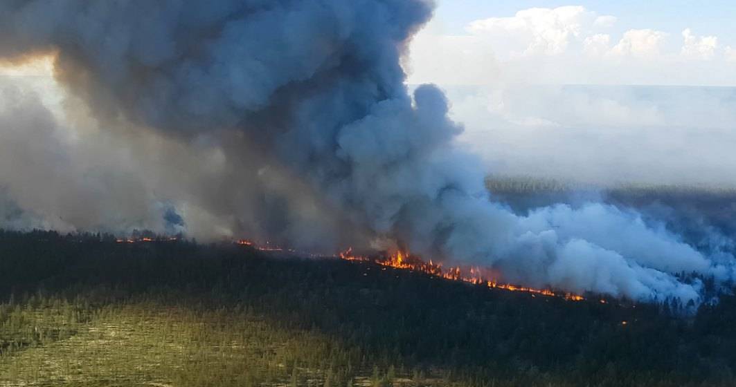 Imagine pentru articolul: Greenpeace avertizează că incendiul din Siberia ar putea fi cel mai mare din istorie