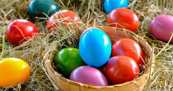 Imagine pentru articolul: Ouă de Paște: cât costă anul acesta și cum recunoaștem ouăle de calitate