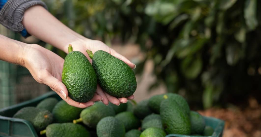 Imagine pentru articolul: Mega Image retrage fructele de avocado de la rafturi