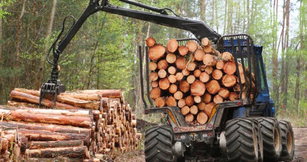 Imagine pentru articolul: Exploatarea lemnului, afacere de 1,7 miliarde de euro pe an in Romania
