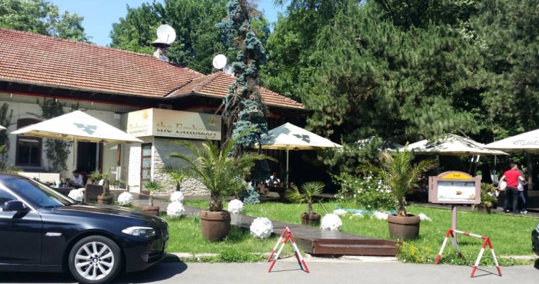 Imagine pentru articolul: Review George Butunoiu: Probabil cel mai prost restaurant din Parcul Herastrau
