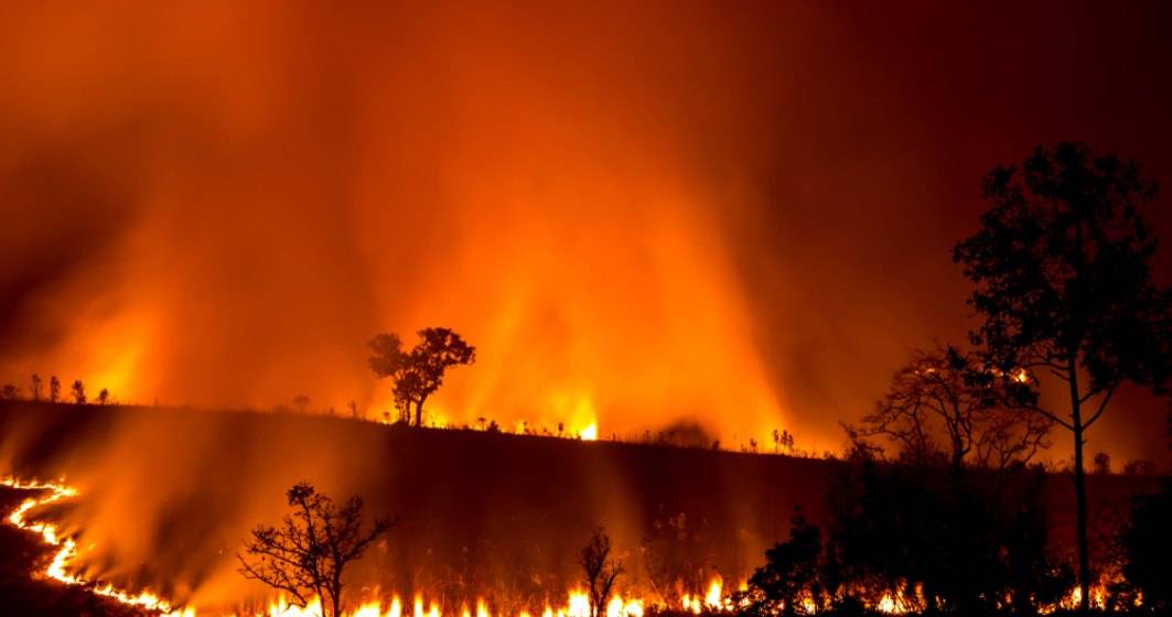 Imagine pentru articolul: Australia depaseste o zi critica si se confrunta cu un nou ,,mega-incendiu"