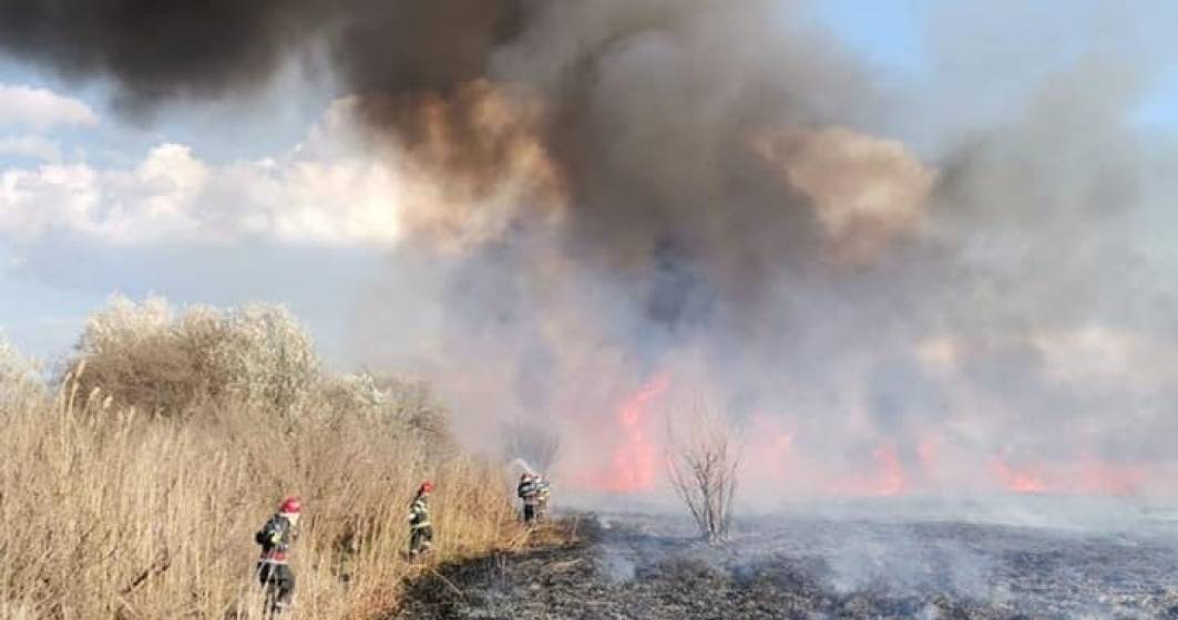 Imagine pentru articolul: Cinci hectare de stuf au ars într-un sat din Tulcea