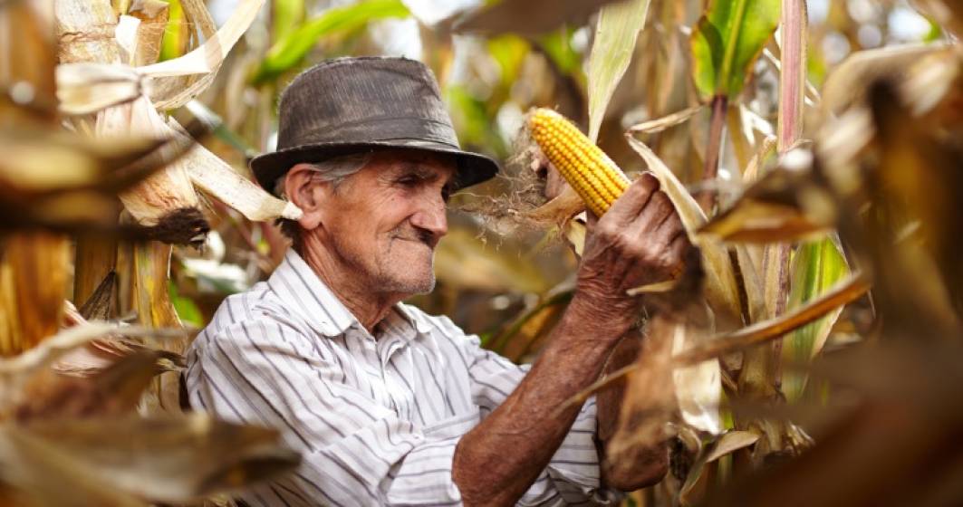 Imagine pentru articolul: Agricultura cu fermieri de peste 60 de ani? Ce fac marile companii pentru a-i atrage pe tineri spre munca pamantului