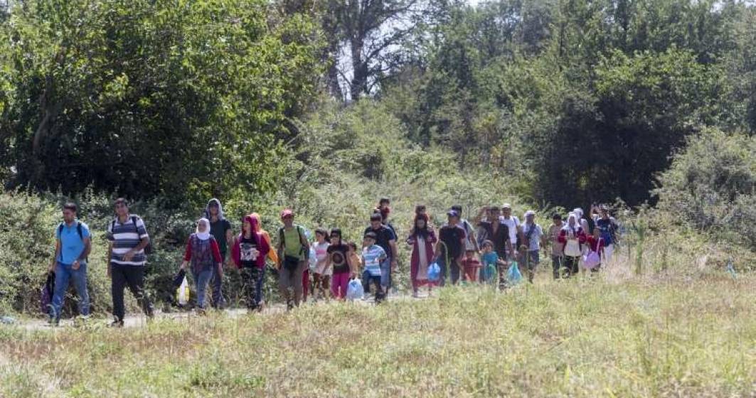Imagine pentru articolul: Arad: Cinci irakieni, solicitanti de azil in Romania, prinsi cand incercau sa iasa ilegal din tara