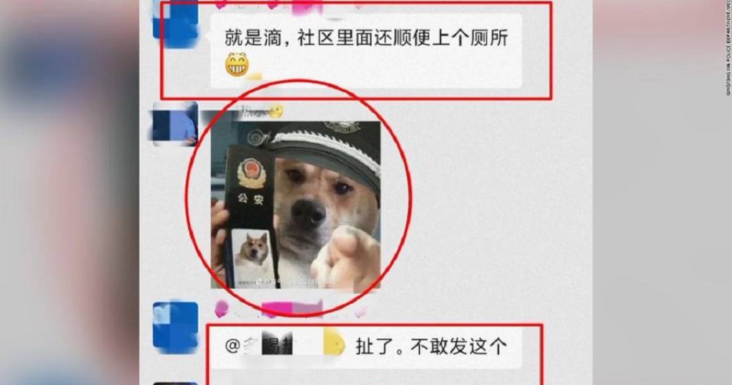 Imagine pentru articolul: Un bărbat a fost reținut de poliția din China pentru o memă cu un câine cu o caschetă de polițist