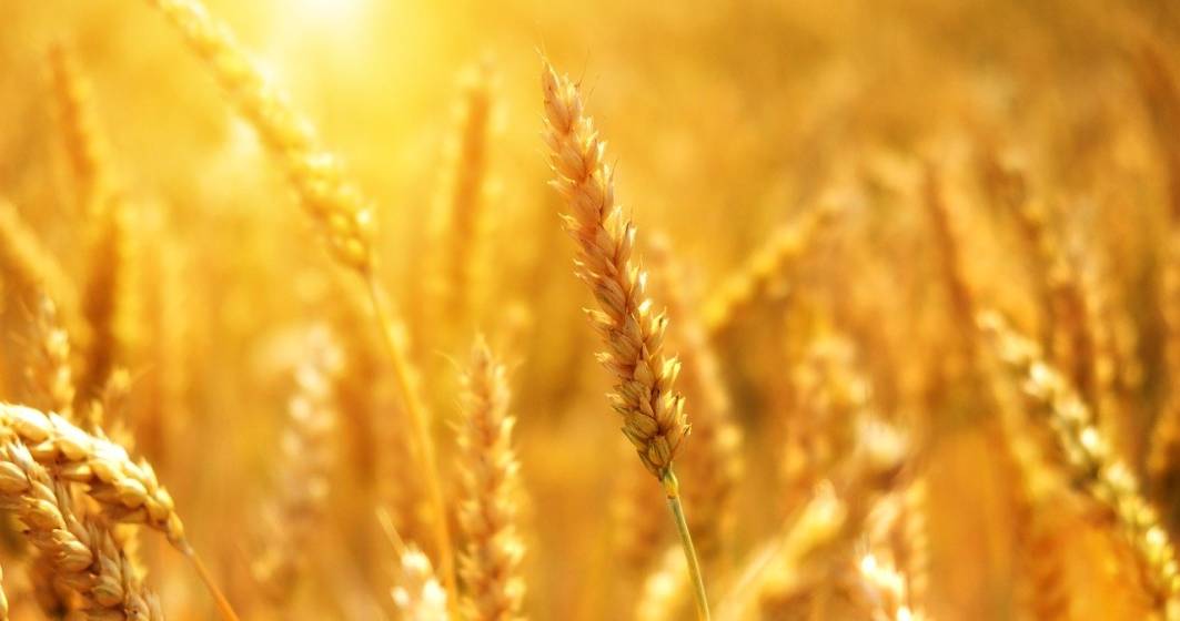 Imagine pentru articolul: Departamentul american al Agriculturii: Producția de cereale a României va scădea cu până la 2,6% în sezonul 2020-2021