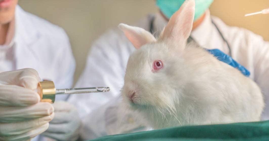 Imagine pentru articolul: Care este prima țară care se pronunță asupra interzicerii totale a testelor pe animale