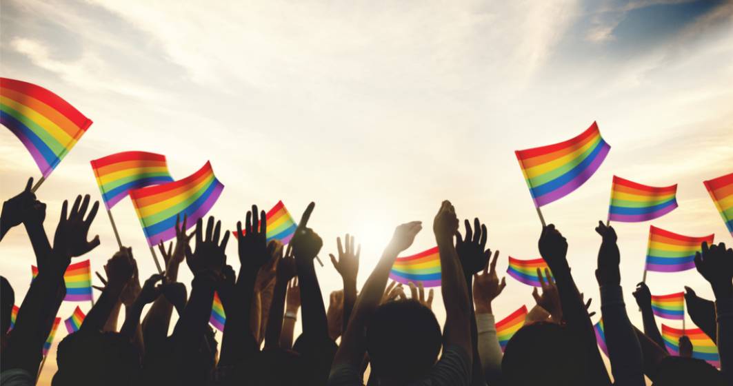 Imagine pentru articolul: ”Legea ungară anti-homosexualitate în rândul minorilor, o rușine” - oficial CE