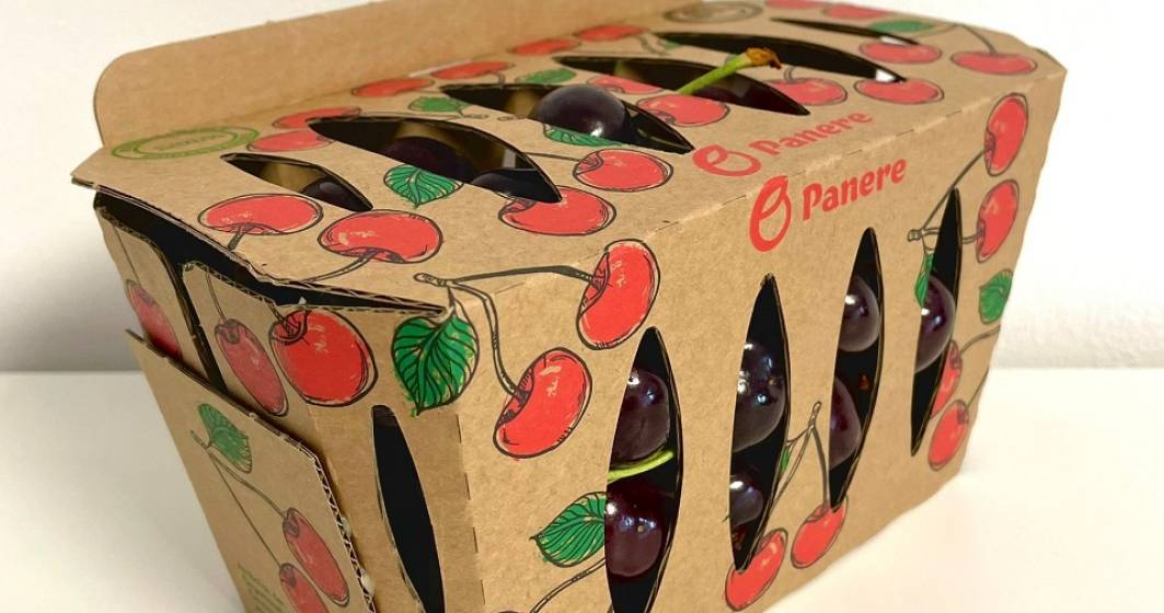 Imagine pentru articolul: Premieră în România: fructe vândute în caserolă din carton 100% biodegradabil, tratat antimicrobian