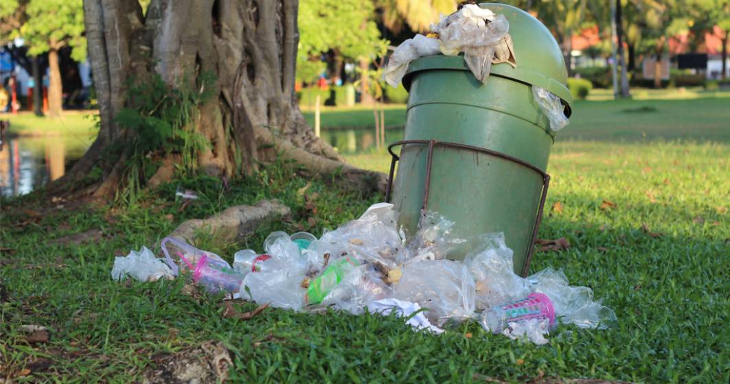 Imagine pentru articolul: Clotilde Armand a cerut declararea ”stării de alertă” în Sectorul 1 pentru că nu se ridică gunoiul