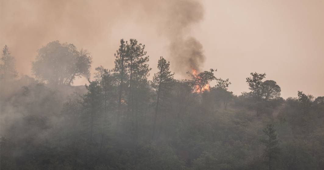 Imagine pentru articolul: Incendiul de proporții din Bacău nu a fost stins nici după patru zile