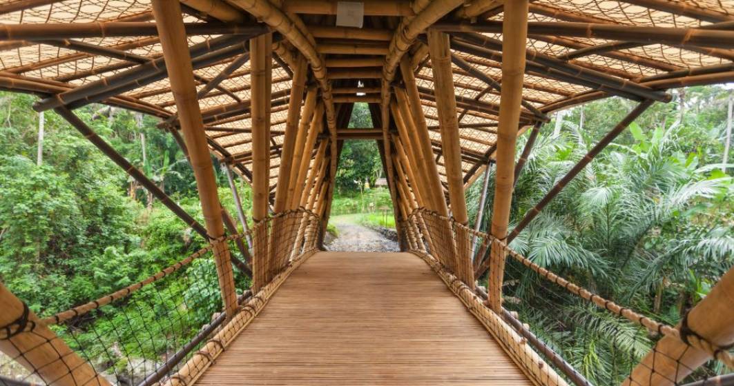 Imagine pentru articolul: Povestea designerului care a părăsit New York-ul pentru a constui cele mai înalte și luxoase conace din bambus în Bali