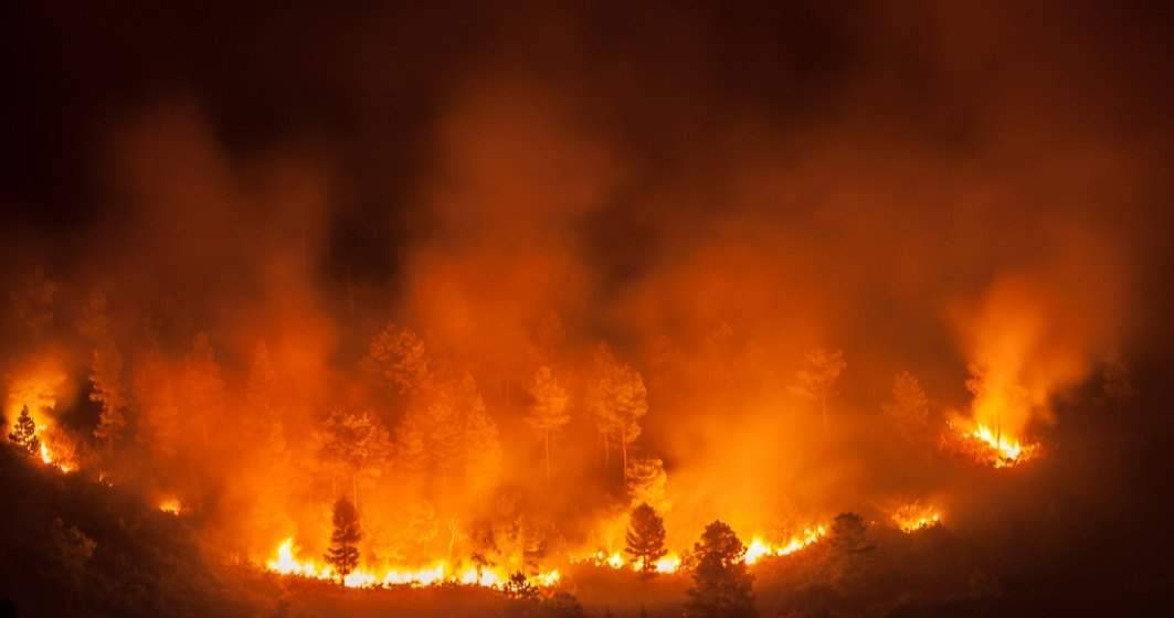 Imagine pentru articolul: Incendii de proporții în Grecia. Ce se întâmplă cu turiștii români care se află în Rhodos