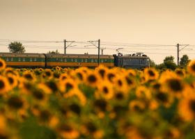 Imagine: FOTO  Vagoane noi pe ”Trenurile soarelui” lansate de CFR. Cum arată...