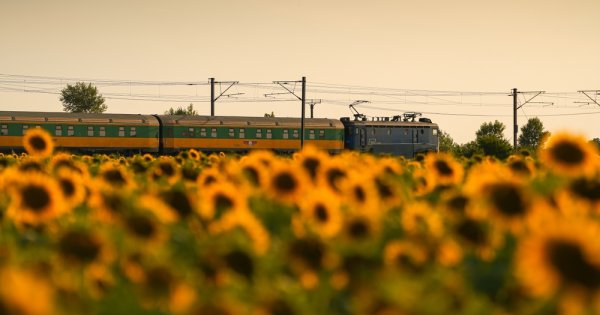 Imagine pentru articolul: FOTO  Vagoane noi pe ”Trenurile soarelui” lansate de CFR. Cum arată...