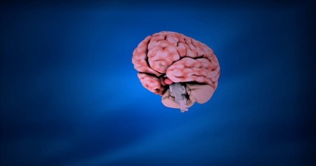 Imagine pentru articolul: Cand intelegi creierul, ajungi la toti oamenii