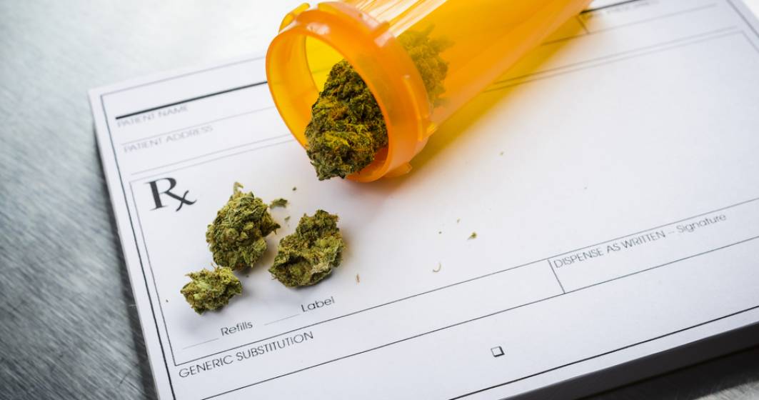 Imagine pentru articolul: Canadienii vor putea sa vanda legal canabis in farmacii