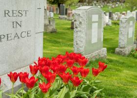 Imagine: În Canada, înmormântările sunt atât de scumpe încât lumea lasă trupurile la...
