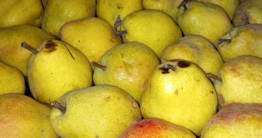 Imagine pentru articolul: ANPC a amendat Mega Image fiindcă a etichetat ca românești fructele din import