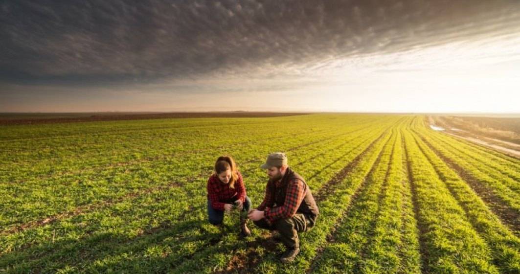 Imagine pentru articolul: Romania, pe primul loc in UE la ponderea populatiei ocupate in agricultura