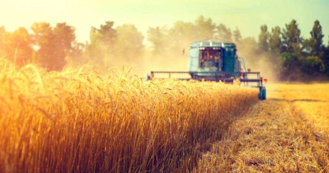 Imagine pentru articolul: Bursa cerealelor: Cum au evoluat preturile la poarta fermei inainte de inceperea recoltarii din 2018