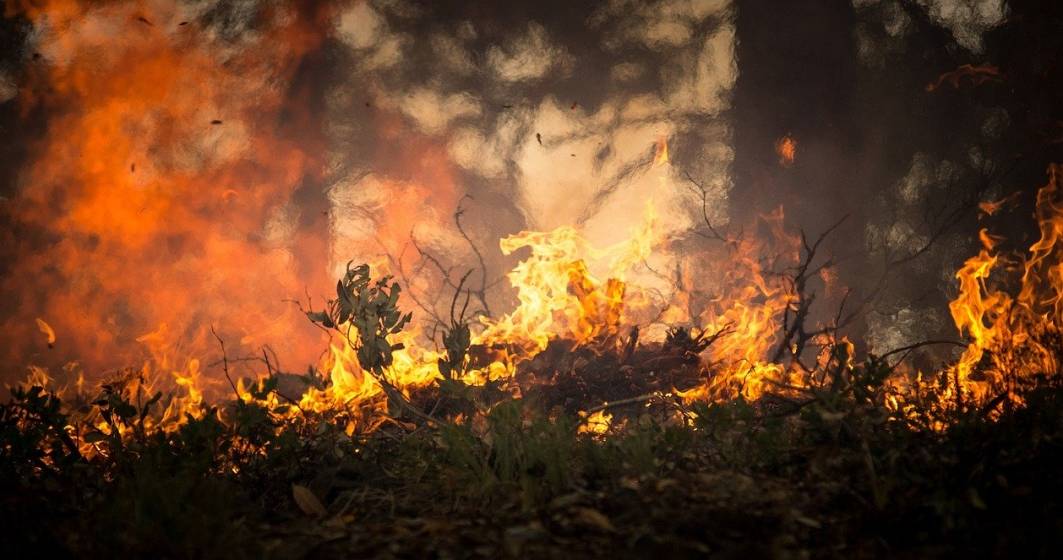 Imagine pentru articolul: Focare și incendii de vegetație în Grecia