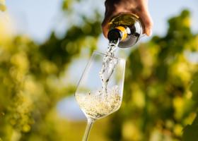 Imagine: Un vin alb produs de Crama La Salina din Cluj a câștigat marele premiu la un...