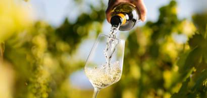 Un vin alb produs de Crama La Salina din Cluj a câștigat marele premiu la un...