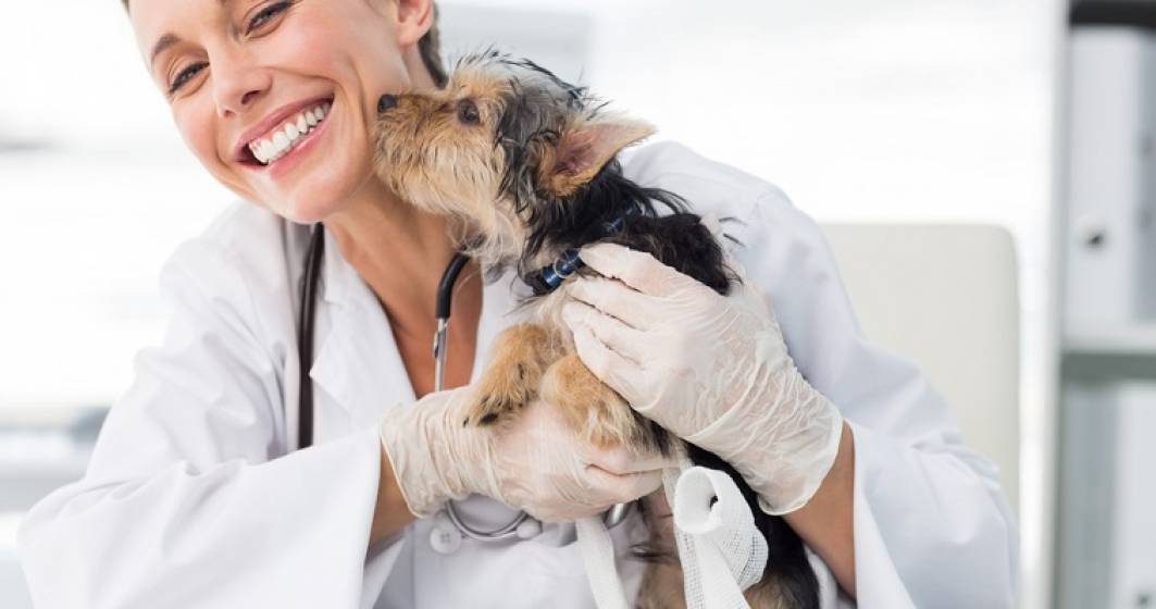 Imagine pentru articolul: Un medic veterinar investeste 700.000 de euro intr-un spital veterinar de endoscopie si chirurgie minim invaziva