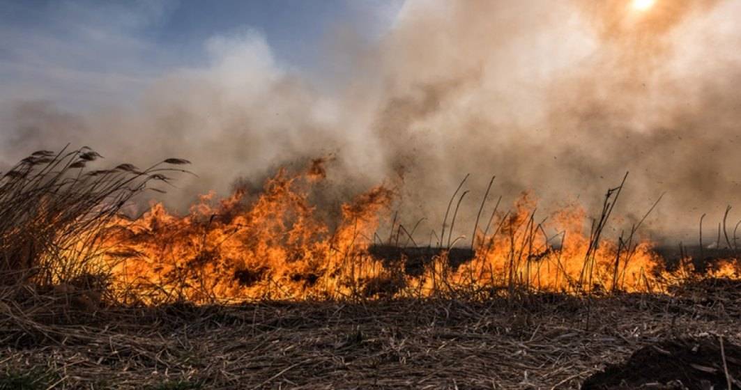 Imagine pentru articolul: 143 de incendii au avut loc în România într-o singură zi