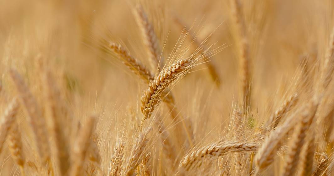 Imagine pentru articolul: Cerealele din Herson, regiune ocupată de ruși, sunt exportate către Moscova