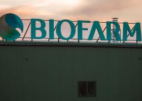 Imagine: Biofarm își mărește profitul, deși românii și-au redus consumul de medicamente