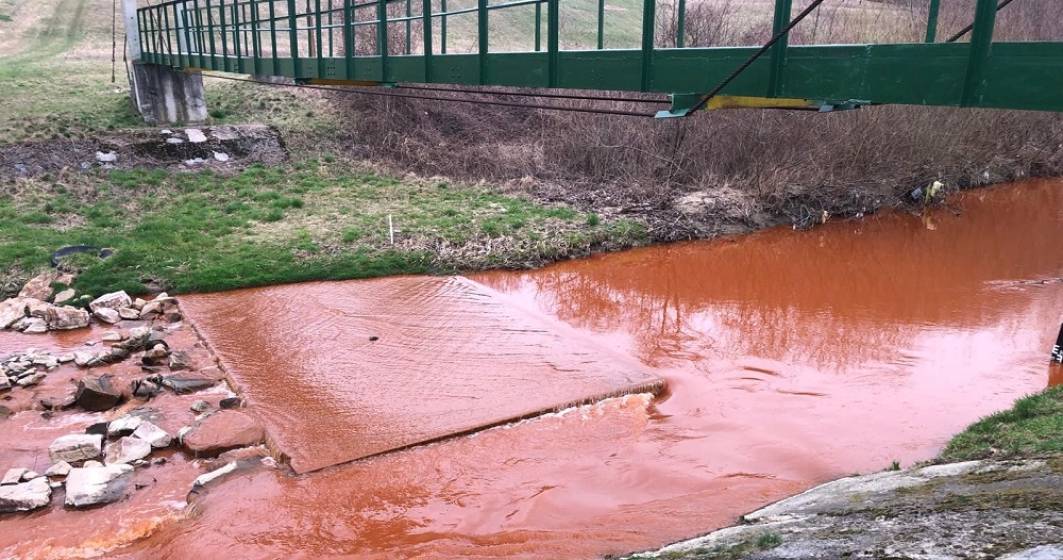 Imagine pentru articolul: Apele Române | Alertă de plouare: Un râu din din Bihor a devenit roșu