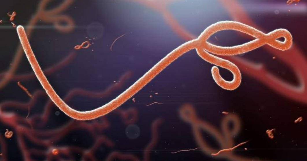 Imagine pentru articolul: Ebola a început să reapară într-o țară din Africa