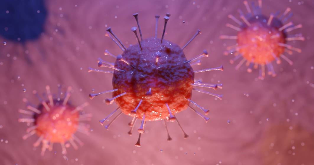 Imagine pentru articolul: Cercetătorii belgieni au descoperit un anticorp care poate combate coronavirusul