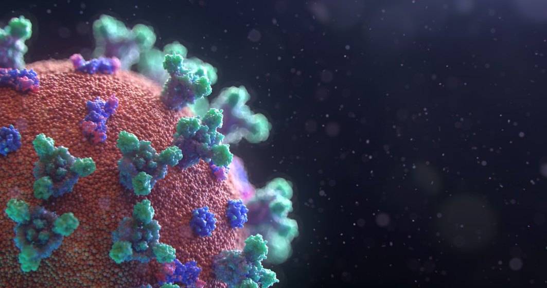 Imagine pentru articolul: STUDIU: COVID este de trei ori mai mortal decât o gripă obișnuită