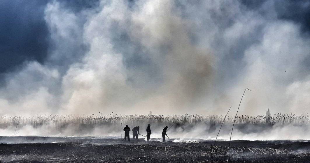 Imagine pentru articolul: Incendiul de vegetație din zona Periş a fost stins