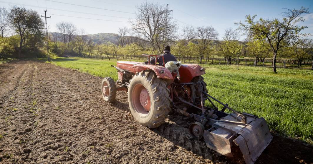 Imagine pentru articolul: Valoarea producției agricole a României a scăzut masiv în 2022. Cel mai mare declin, la pepeni și porci